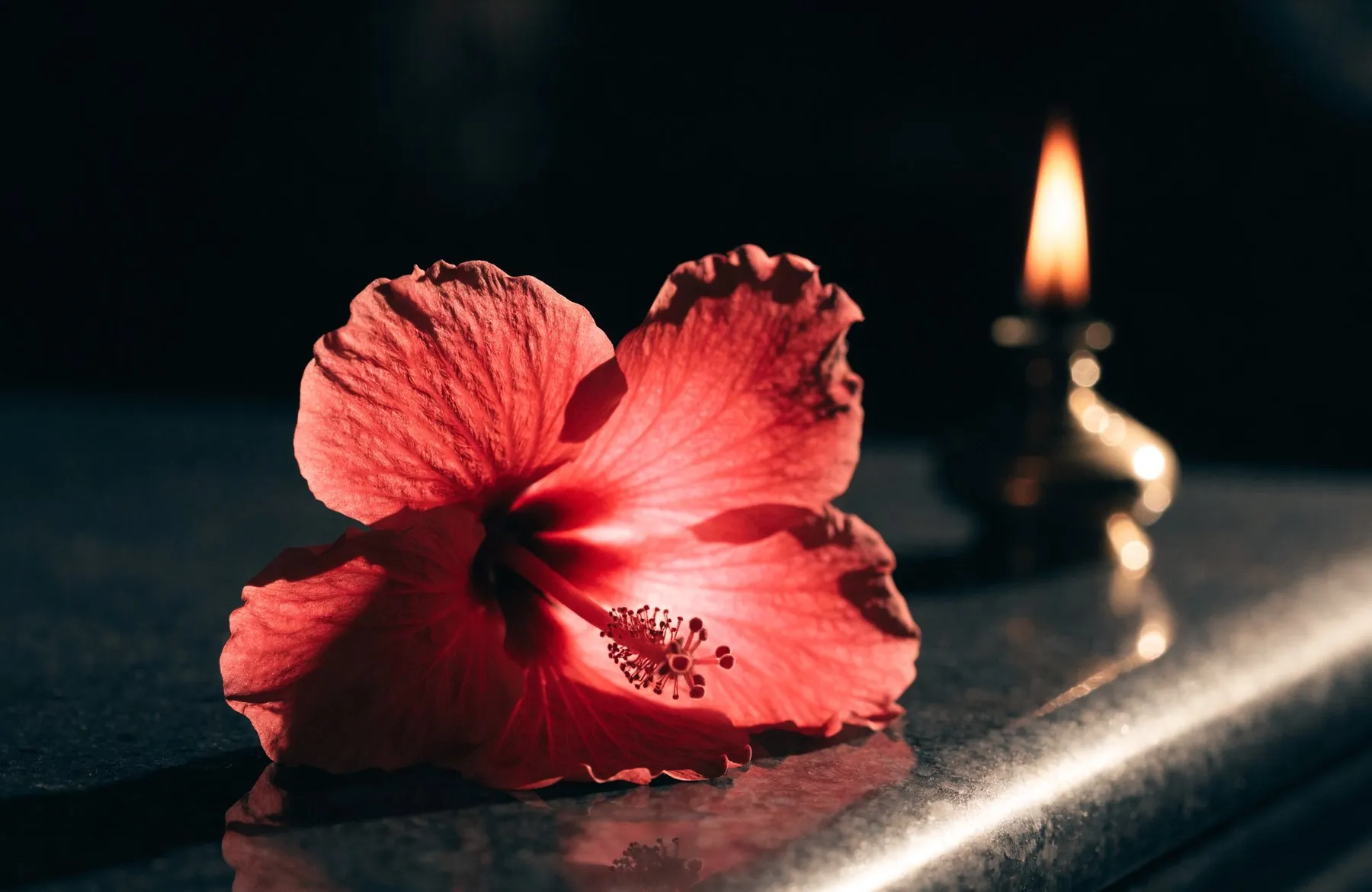 A single vivid red hibiscus flower resting on dark stone, an oil lamp burning behind it