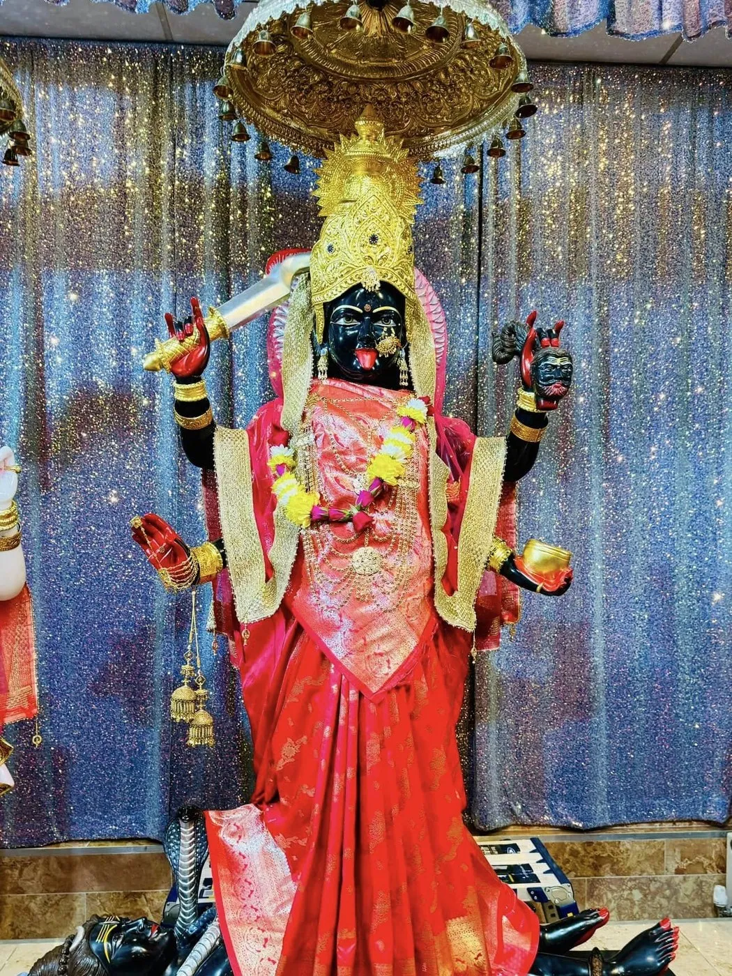 Maa Kali at Shri Maha Kali Bhameshwari Mandir, dressed in the shringar of a different day (11 of 13)