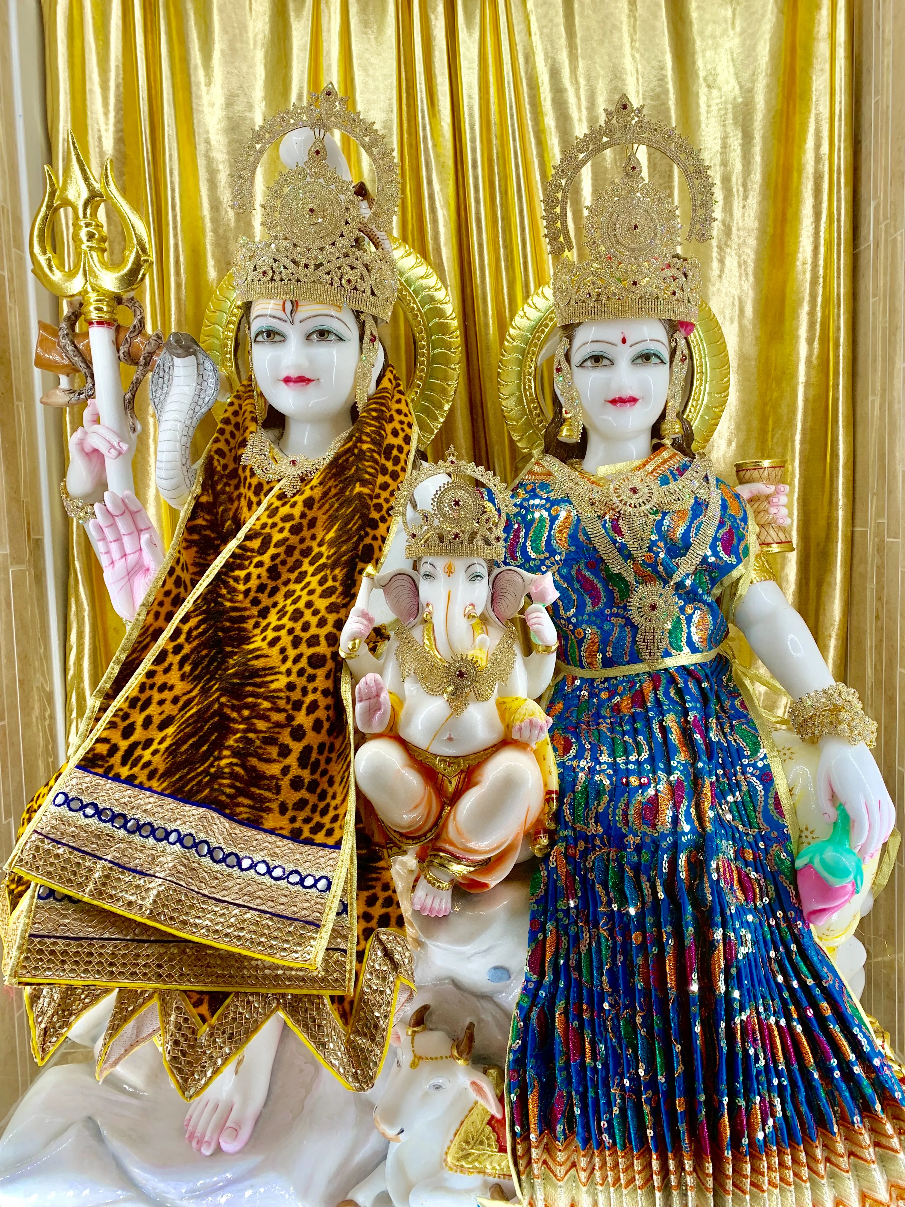 The murti of Shiv Parivar at the mandir